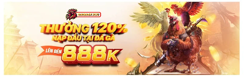 giới thiệu daga67icu